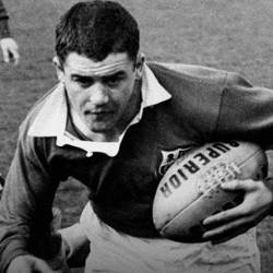 Dai Watkins Profile Image